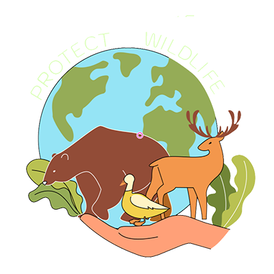 protect wildlife image