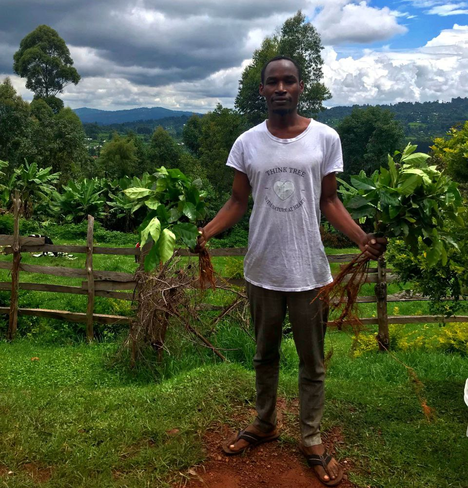 Kenya reforestation efforts