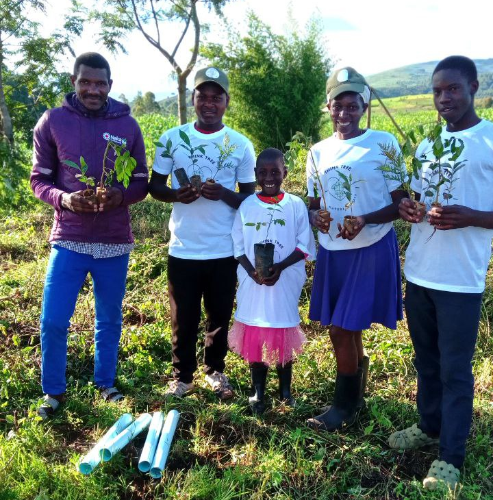 Uganda reforestation efforts